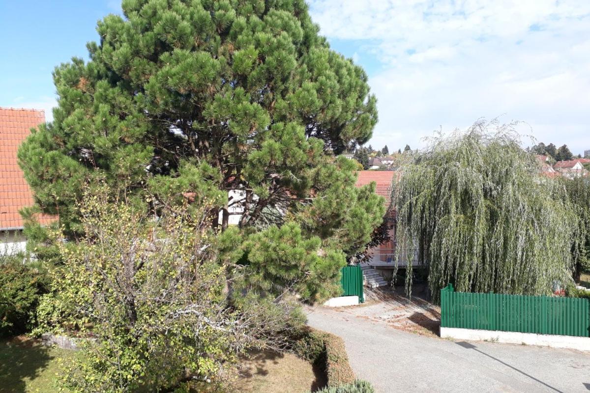 Appartement Independant A Proximite De Belfort Essert ภายนอก รูปภาพ